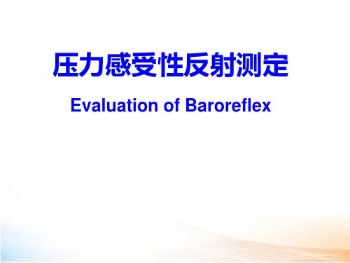 压力感受性反射2