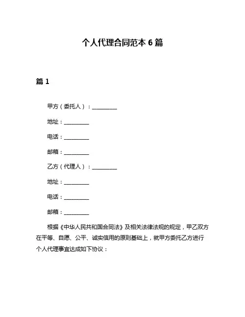 个人代理合同范本6篇
