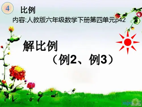 _解比例ppt