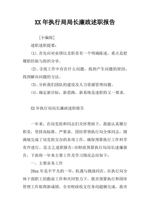 XX年执行局局长廉政述职报告