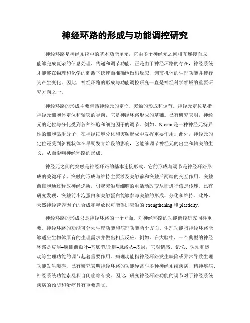 神经环路的形成与功能调控研究