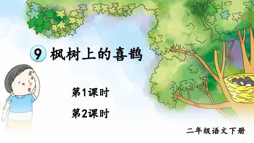 部编版二年级语文下册第9课《枫树上的喜鹊》优秀课件