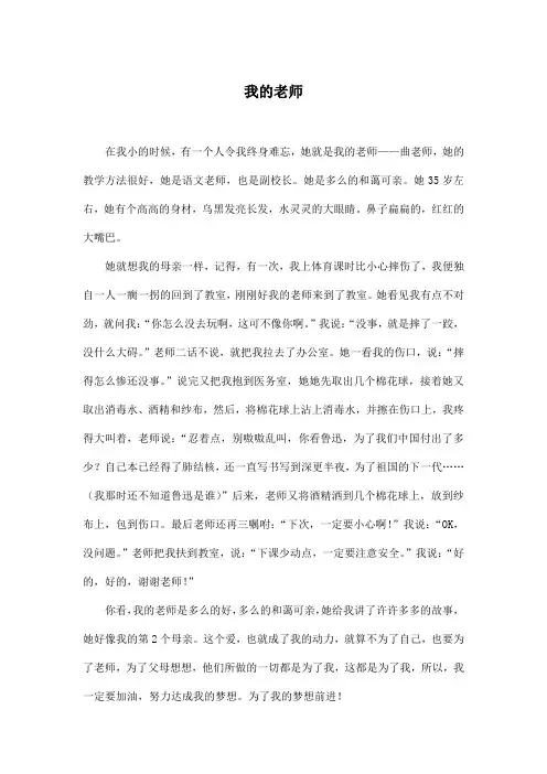 我的老师_小学六年级作文600字_6