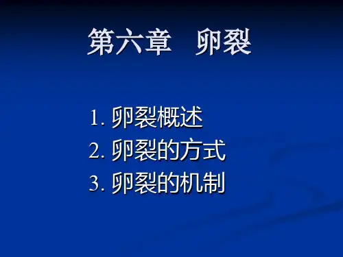发育生物学第六章 卵裂解析