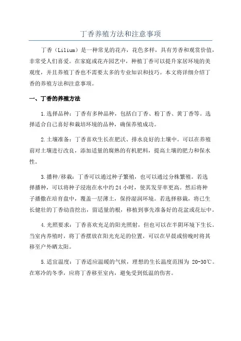 丁香养殖方法和注意事项