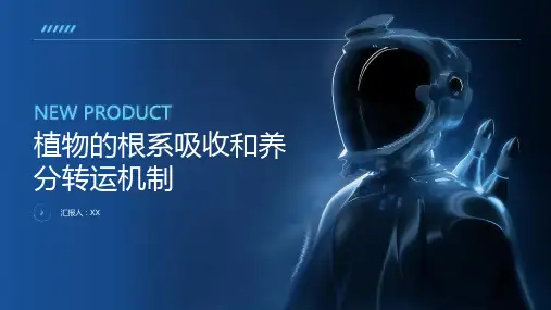 植物的根系吸收和养分转运机制