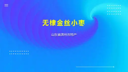 无棣金丝小枣