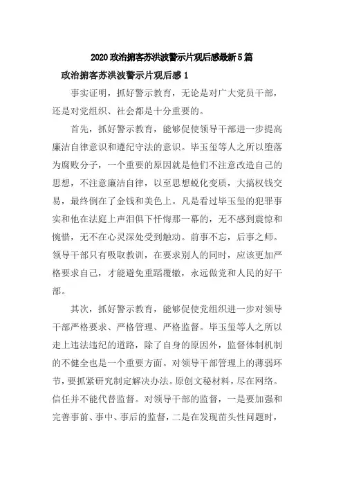 2020政治掮客苏洪波警示片观后感最新5篇