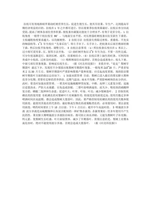 苹果幼旺树夏秋季拉枝效果好
