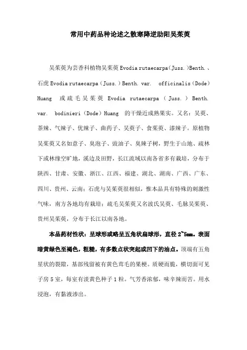 常用中药品种论述之散寒降逆助阳吴茱萸