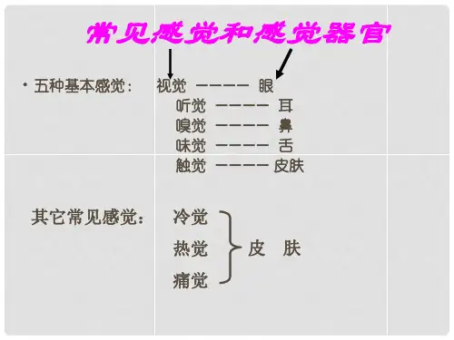 浙江省温州市平阳县鳌江镇第三中学七年级科学下册《第一章 神奇的光》1.1感觉世界(第二课时)课件 浙教版