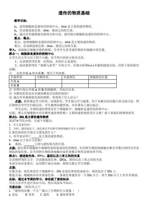 遗传的物质基础(教案)