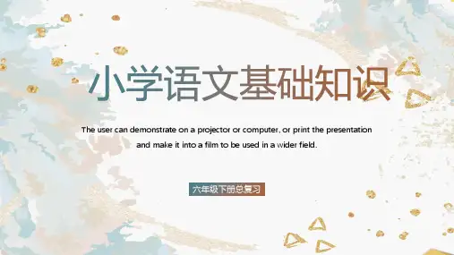 部编版语文六年级下册小升初总复习基础知识包括说明手法、句式变换、关联词语课件(共111张PPT)