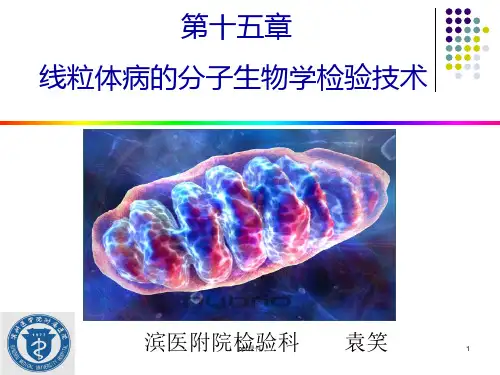 肿瘤的分子生物学检验技术  ppt课件