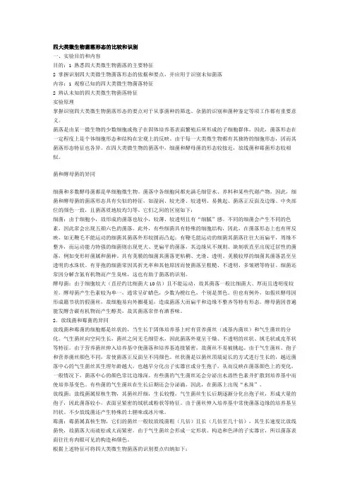 四大类微生物菌落形态的比较和识别