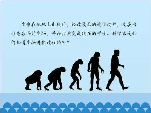 五年级下册科学课件-11寻找进化的证据冀人版共20张PPT