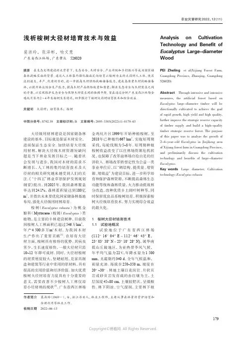 浅析桉树大径材培育技术与效益