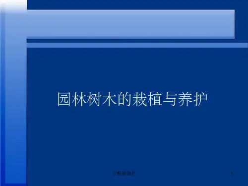 园林树木的栽培与养护完整ppt课件