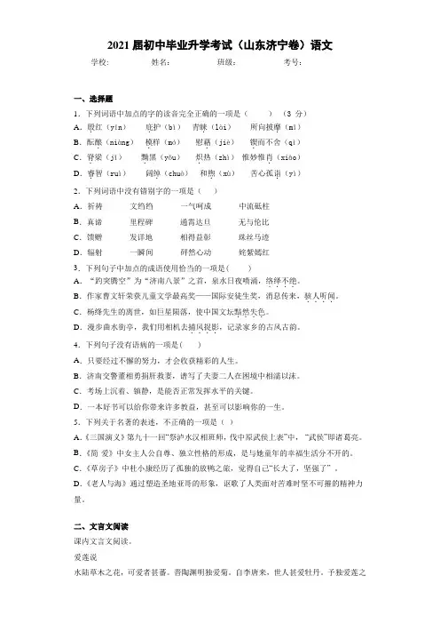 2021年初中毕业升学考试(山东济宁卷)语文(2)