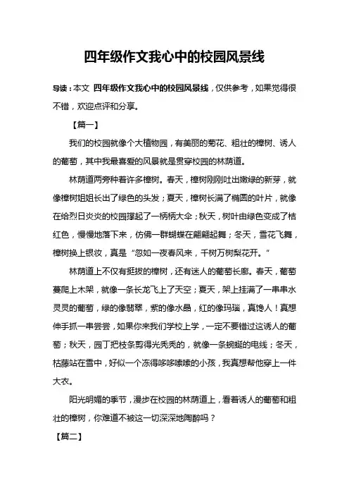 四年级作文我心中的校园风景线