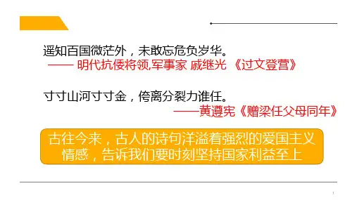 人教版《道德与法治》八年级上册8.2坚持国家利益至上(共19张PPT)
