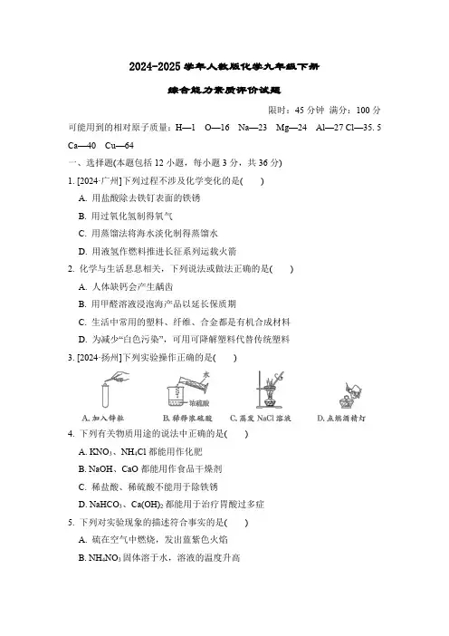 综合能力素质评价  试题 2024-2025学年人教版化学九年级下册