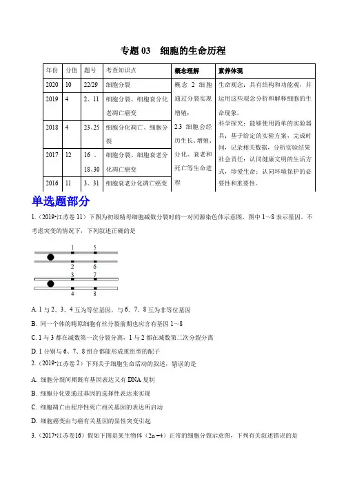 专题03细胞的生命历程-五年(2016-2020年)高考生物真题分项详解(原卷版)