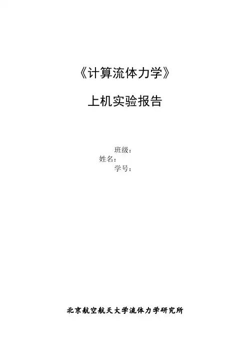 计算流体力学上机实验报告