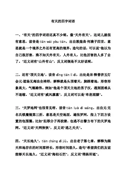 有天的四字词语