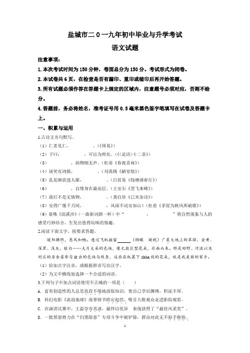 中考真题-2019年江苏省盐城市中考语文试题(解析版)