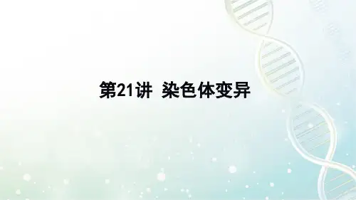 高三生物一轮复习精品课件4：第21讲 染色体变异