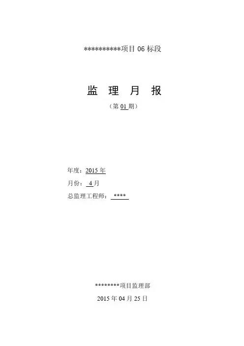 国土高标准农田项目监理月报