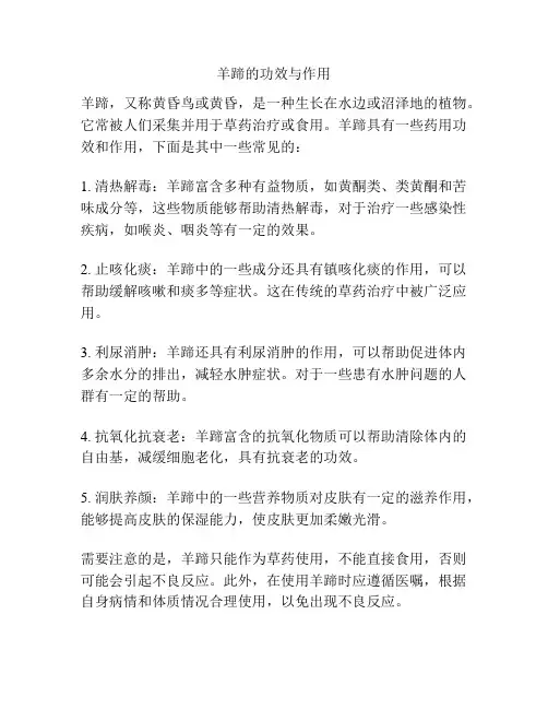 羊蹄的功效与作用