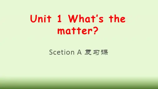 人教版八年级下 Unit 1 Section A 复习课件(PPT29张)