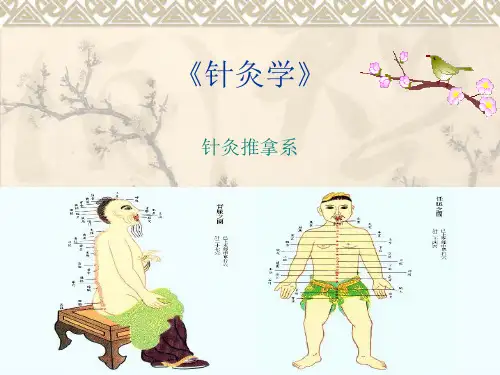 经络腧穴各论ppt课件