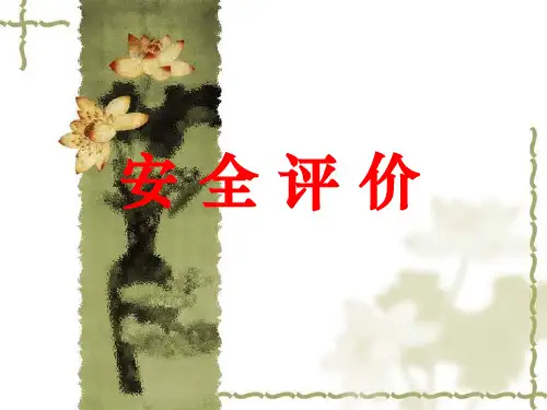 安 全 评 价