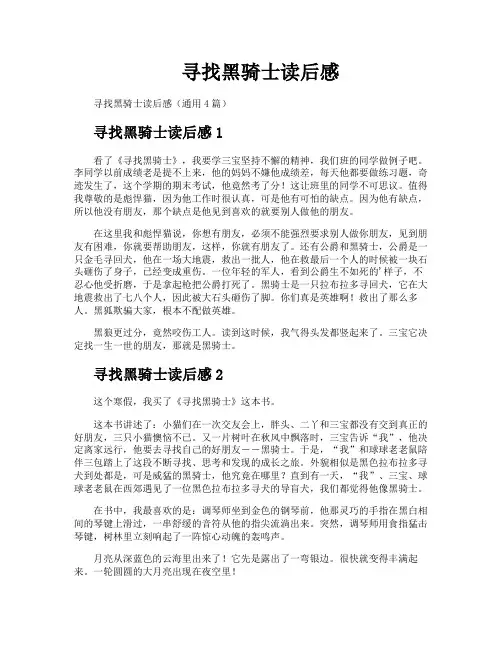寻找黑骑士读后感