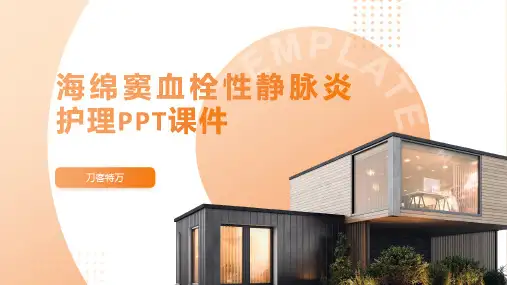 海绵窦血栓性静脉炎护理PPT课件