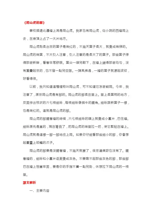 人教版小学四年级上册语文《爬山虎的脚》课文原文及教案