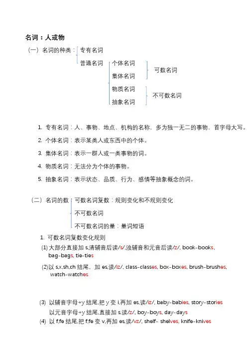 初中名词讲义