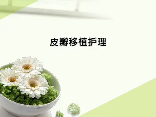皮瓣移植护理查房ppt课件