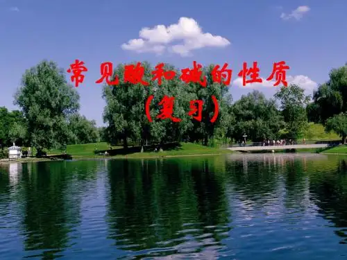 【初中化学】常见酸和碱的性质PPT课件 鲁教版