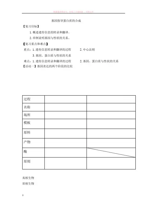 基因的表达复习学案 