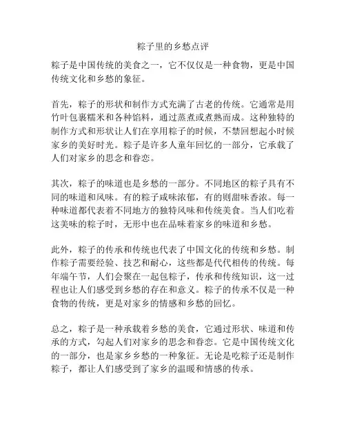 粽子里的乡愁点评