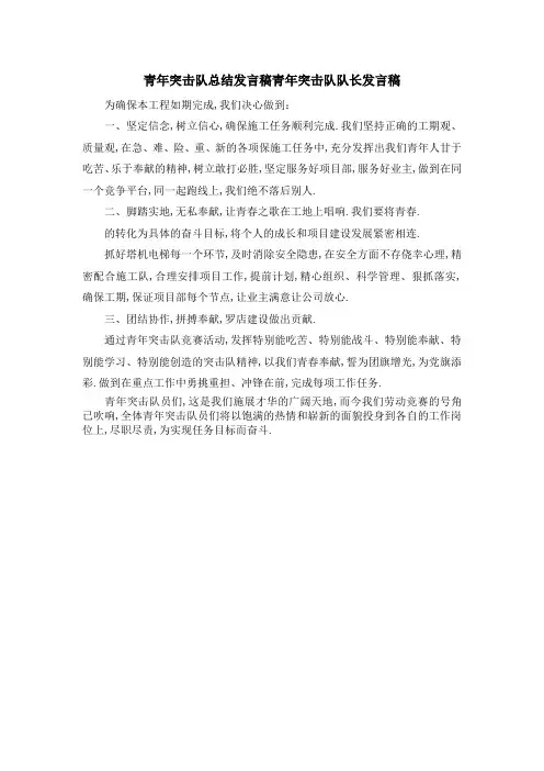 青年突击队总结发言稿 青年突击队队长发言稿 精品
