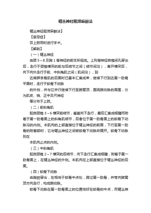 臂丛神经阻滞麻醉法