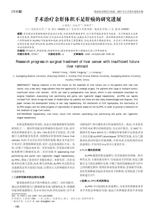 手术治疗余肝体积不足肝癌的研究进展