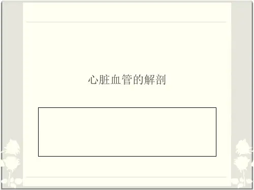 心脏血管的解剖_冠脉解剖