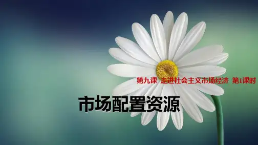 人教版高中政治必修1精品课件14：9.1 市场配置资源