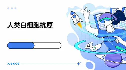 《人类白细胞抗原》课件